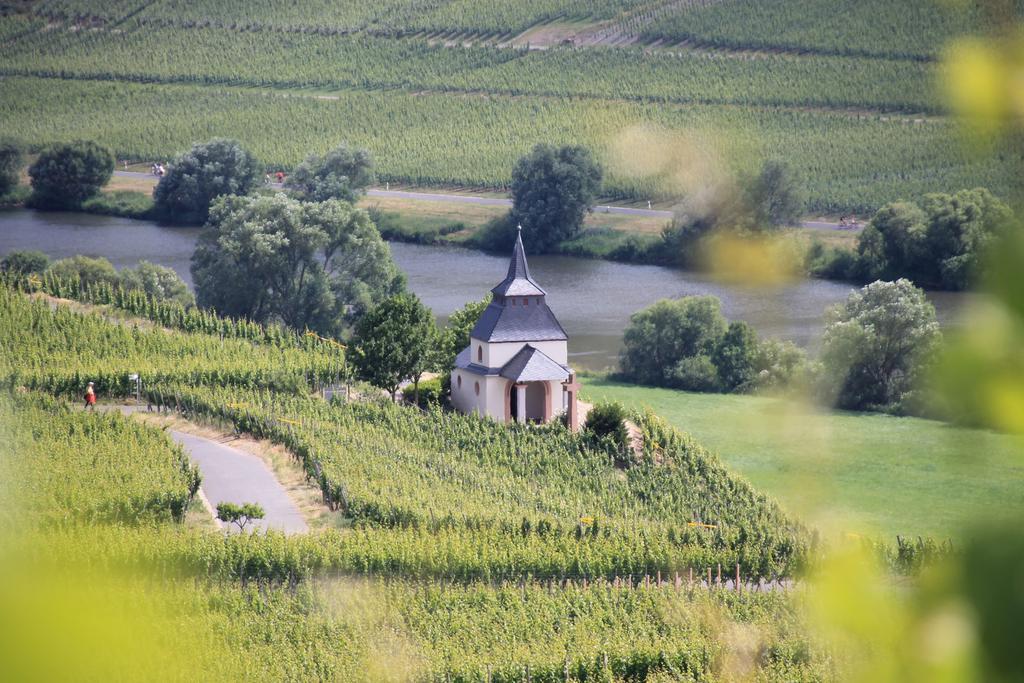 Отель Wein & Gastehaus Hermeshof Триттенхайм Экстерьер фото