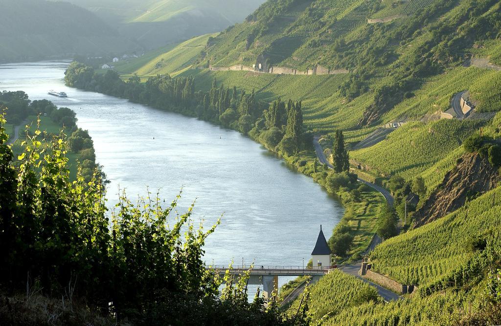 Отель Wein & Gastehaus Hermeshof Триттенхайм Экстерьер фото