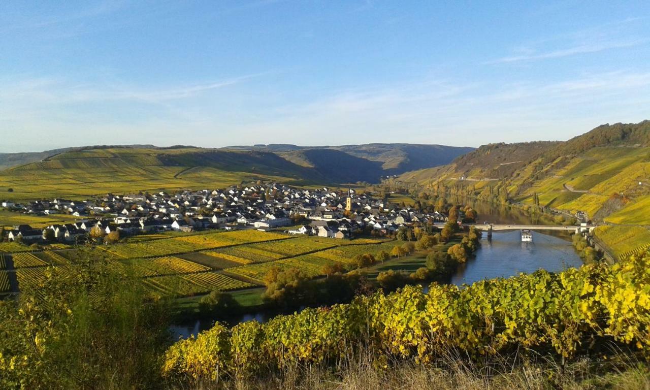 Отель Wein & Gastehaus Hermeshof Триттенхайм Экстерьер фото