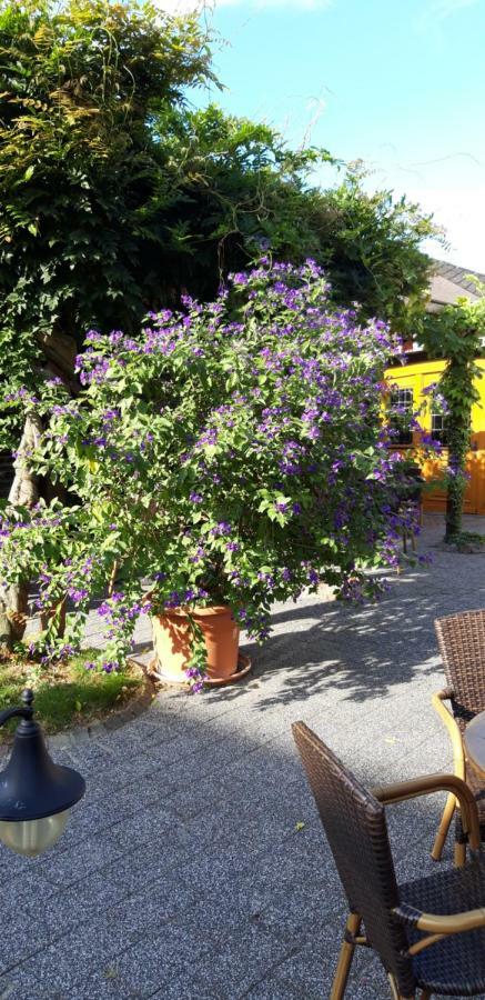 Отель Wein & Gastehaus Hermeshof Триттенхайм Экстерьер фото